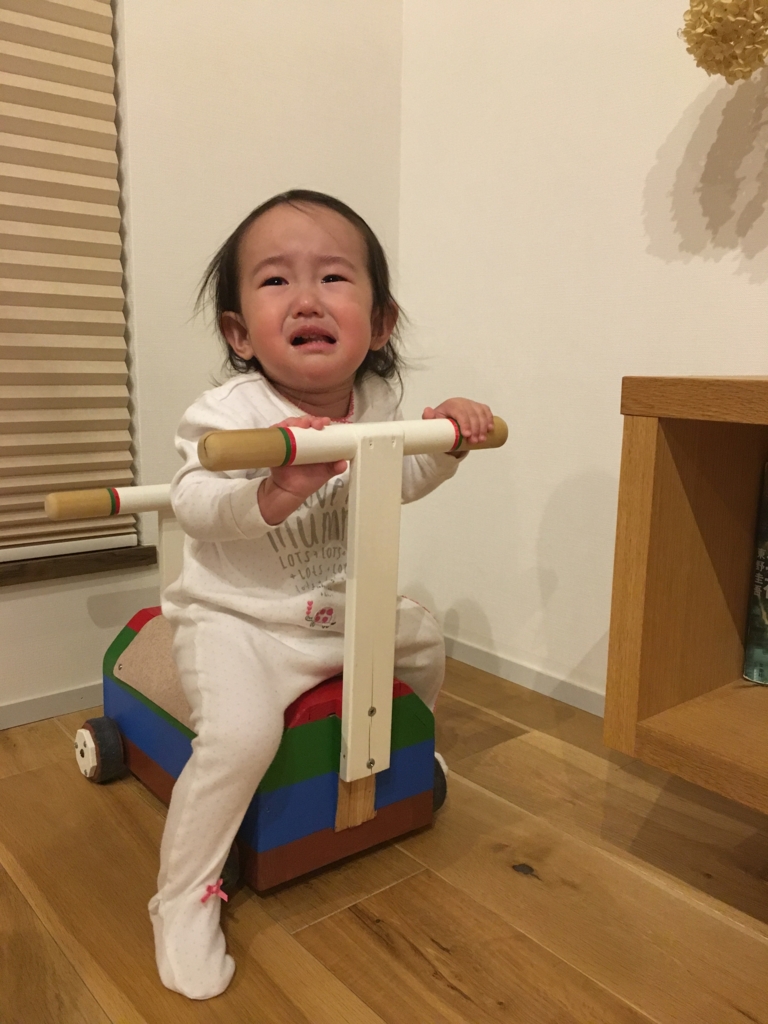 f:id:nagameikuji:20170129235055j:plain f:id:nagameikuji:20170129235055j:plain