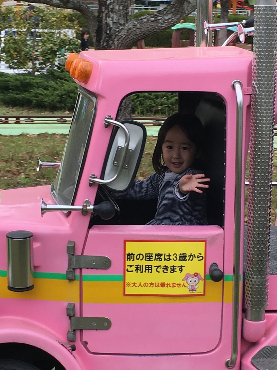f:id:nagameikuji:20190508170036j:plain
