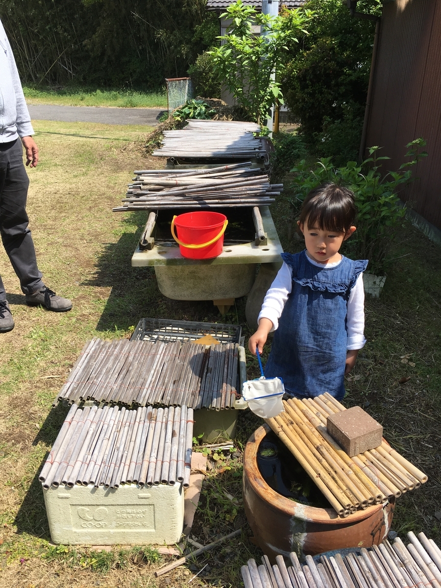 f:id:nagameikuji:20190508170110j:plain