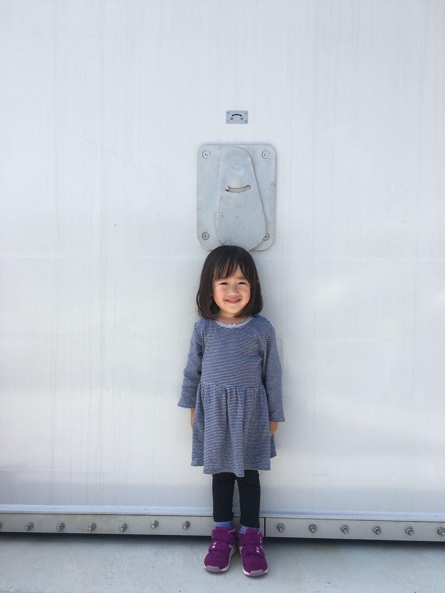 f:id:nagameikuji:20190508174132j:plain