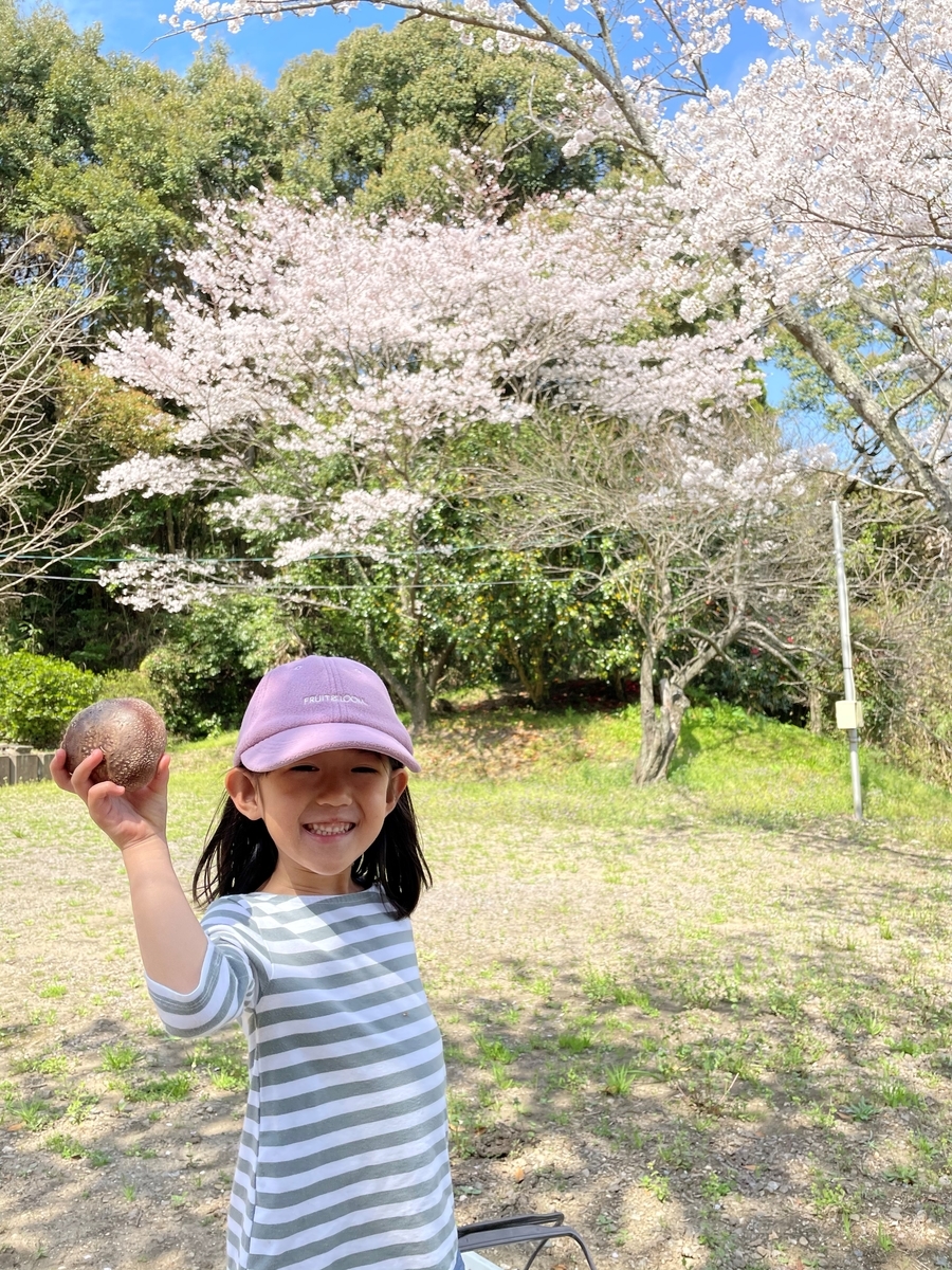 f:id:nagameikuji:20210330074712j:plain