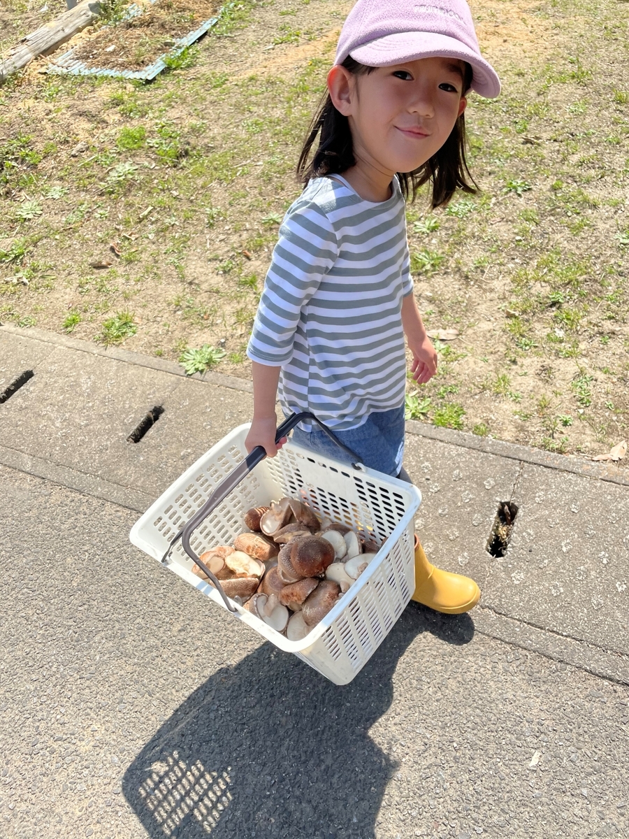 f:id:nagameikuji:20210330074714j:plain