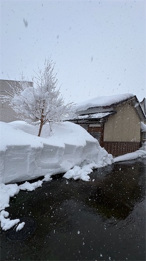 f:id:nagamimiya:20260202182214j:image