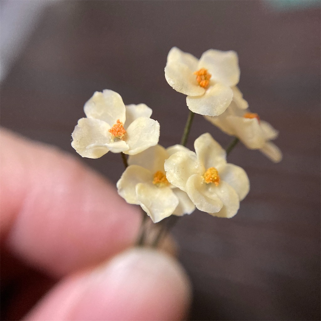 f:id:naganegi222:20210409103422j:image