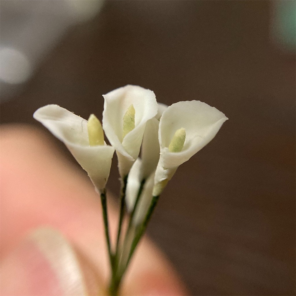 f:id:naganegi222:20210409103426j:image