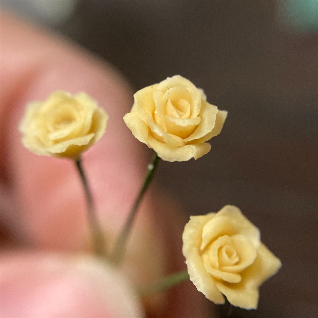 f:id:naganegi222:20210409103429j:image