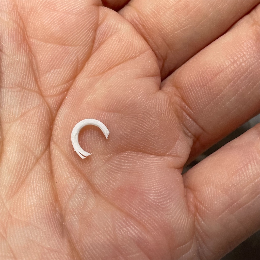 f:id:naganegi222:20230912023010j:image