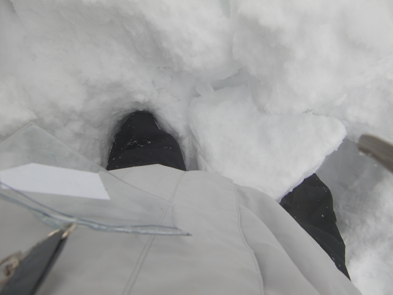 f:id:nagano07:20120129113927j:image