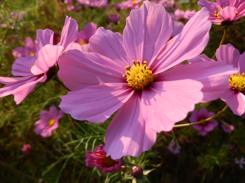f:id:nagano07:20131014155500j:image:w640