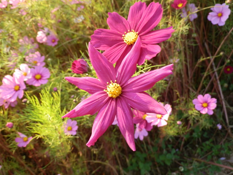 f:id:nagano07:20131014155511j:image:w640