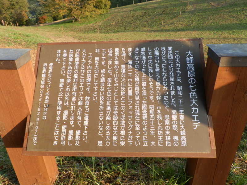 f:id:nagano07:20131014155746j:image:w640