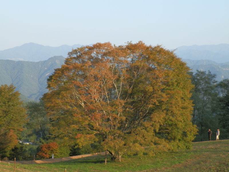 f:id:nagano07:20131014155810j:image:w640