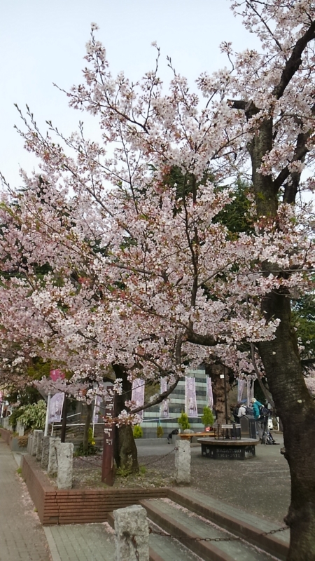 f:id:nagano07:20160410083735j:image