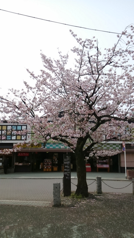 f:id:nagano07:20160410084448j:image