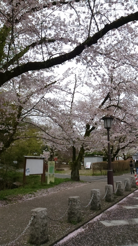 f:id:nagano07:20160410093533j:image