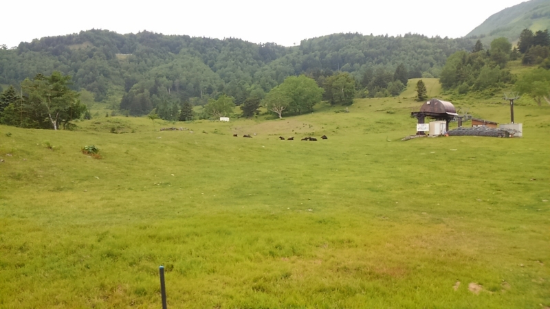 f:id:nagano07:20160611131510j:image