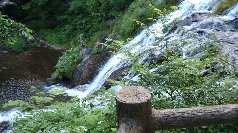 f:id:nagano07:20160618182609j:image f:id:nagano07:20160618182609j:image