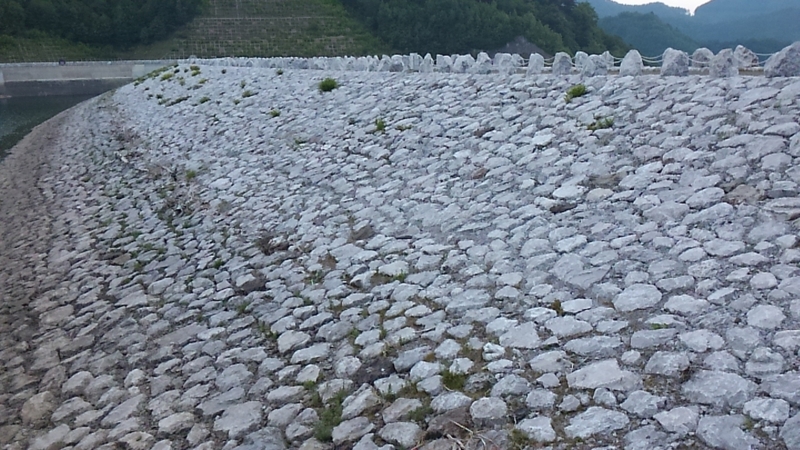 f:id:nagano07:20160618185102j:image f:id:nagano07:20160618185102j:image
