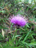 f:id:naganop:20120729183057j:image
