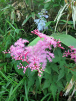 f:id:naganop:20120729183059j:image