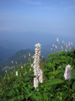 f:id:naganop:20120729183101j:image