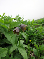 f:id:naganop:20120729183220j:image