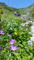 f:id:naganop:20160718233146j:image
