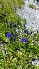 f:id:naganop:20160718233148j:image:left