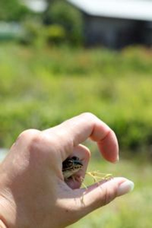 Th_img_9203_3 Th_img_9203_3