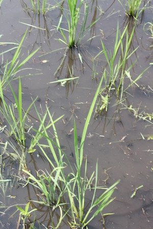 Img_1354 Img_1354