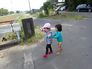 P9130106 P9130106
