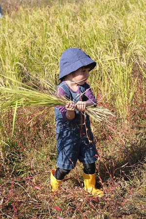 Img_2180 Img_2180