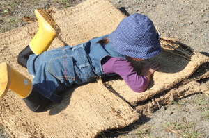 Img_2218 Img_2218