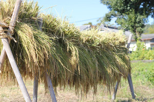 Img_2222 Img_2222