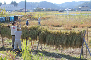 Img_2244 Img_2244