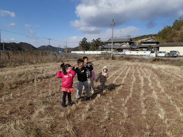 P6303870 P6303870