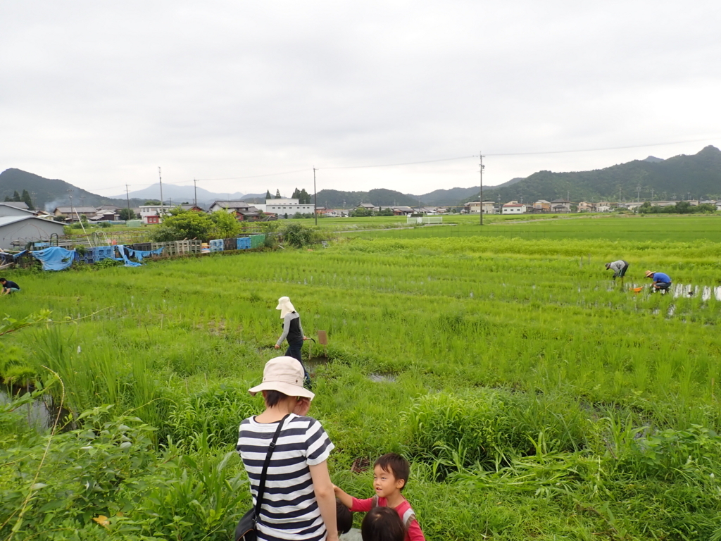f:id:nagaraeco:20170723160804j:plain f:id:nagaraeco:20170723160804j:plain