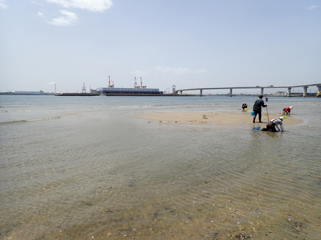 f:id:nagaraeco:20180416184618j:plain f:id:nagaraeco:20180416184618j:plain