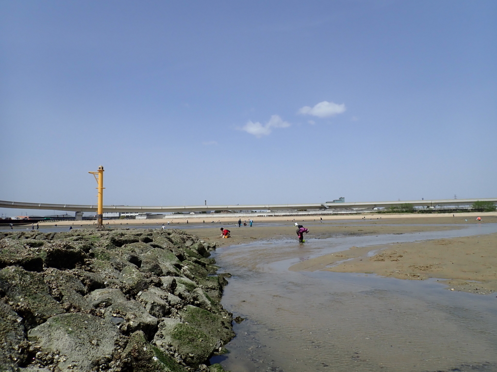 f:id:nagaraeco:20180416184927j:plain f:id:nagaraeco:20180416184927j:plain
