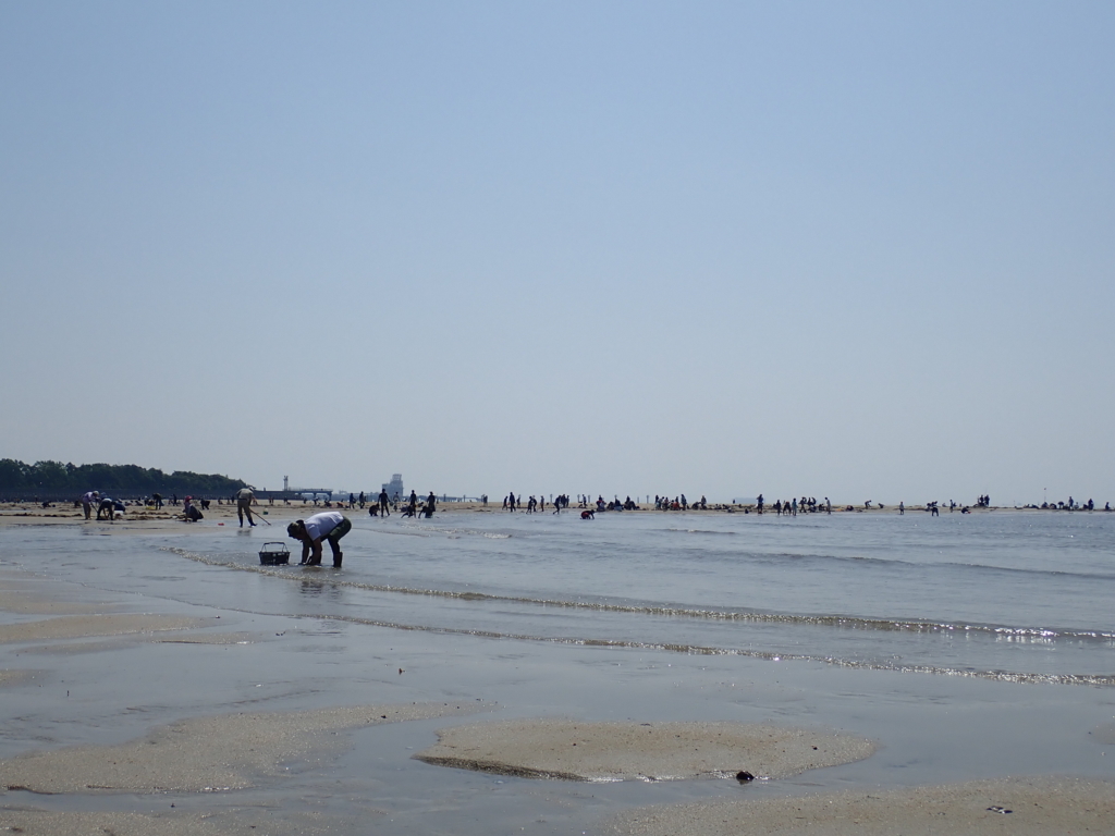 f:id:nagaraeco:20180501183358j:plain f:id:nagaraeco:20180501183358j:plain