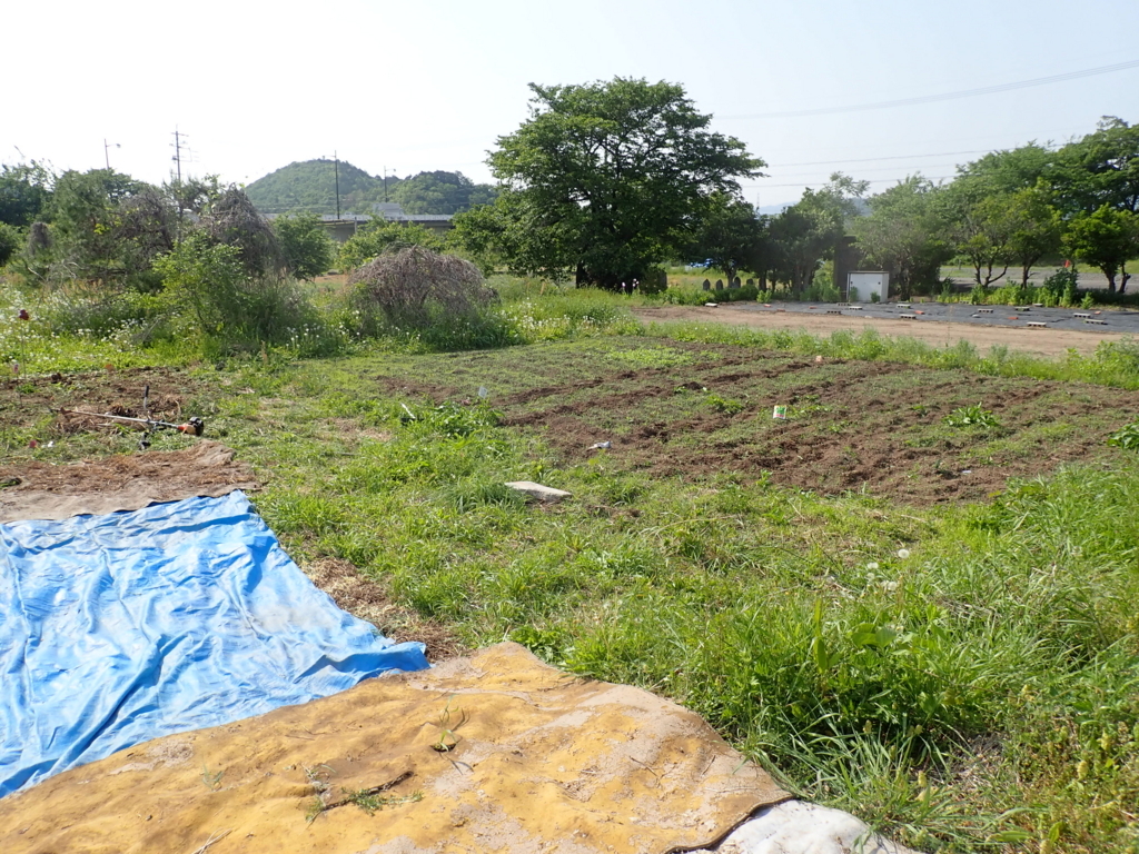 f:id:nagaraeco:20180503200459j:plain