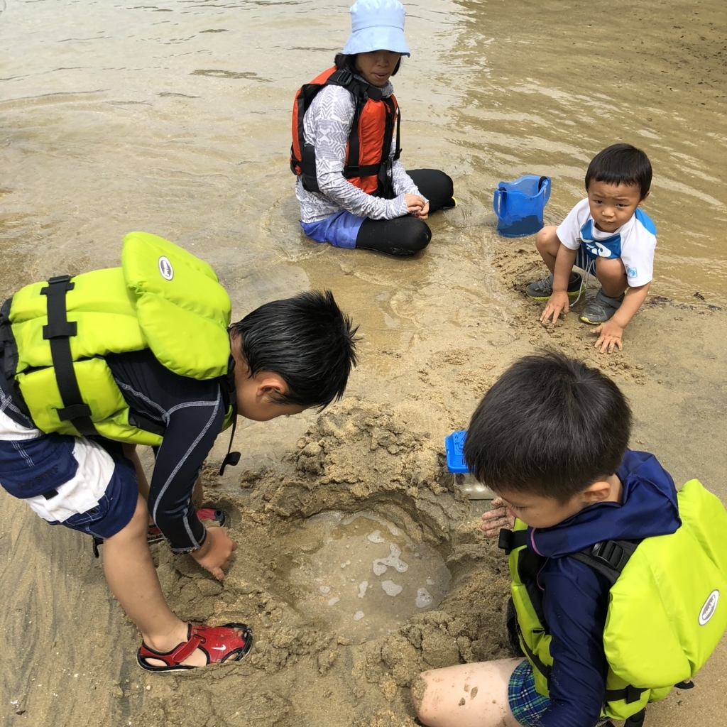 f:id:nagaraeco:20180708172907j:plain f:id:nagaraeco:20180708172907j:plain