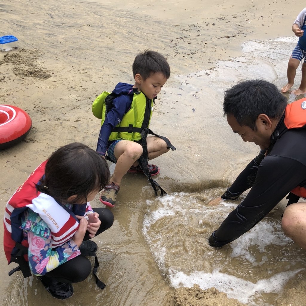 f:id:nagaraeco:20180708173306j:plain f:id:nagaraeco:20180708173306j:plain