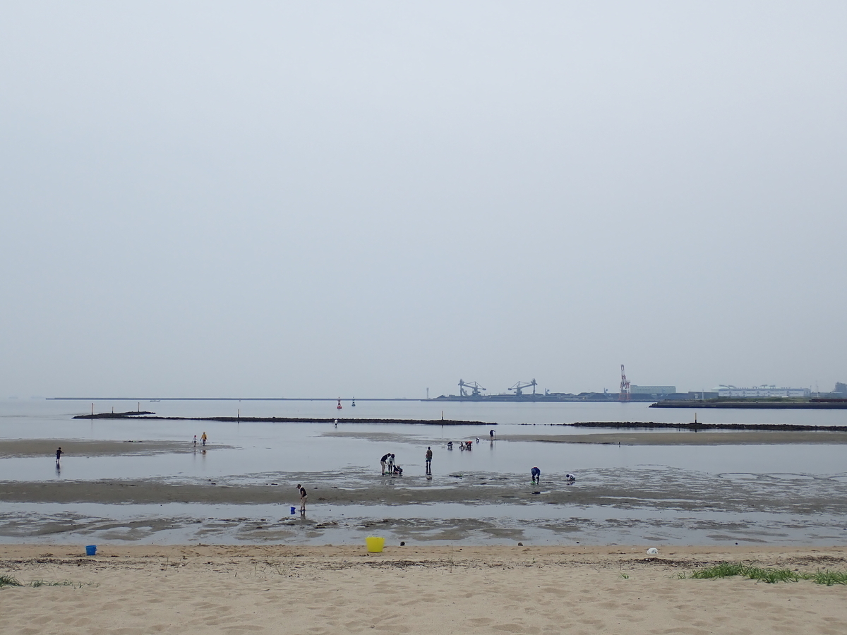 f:id:nagaraeco:20190602174703j:plain f:id:nagaraeco:20190602174703j:plain