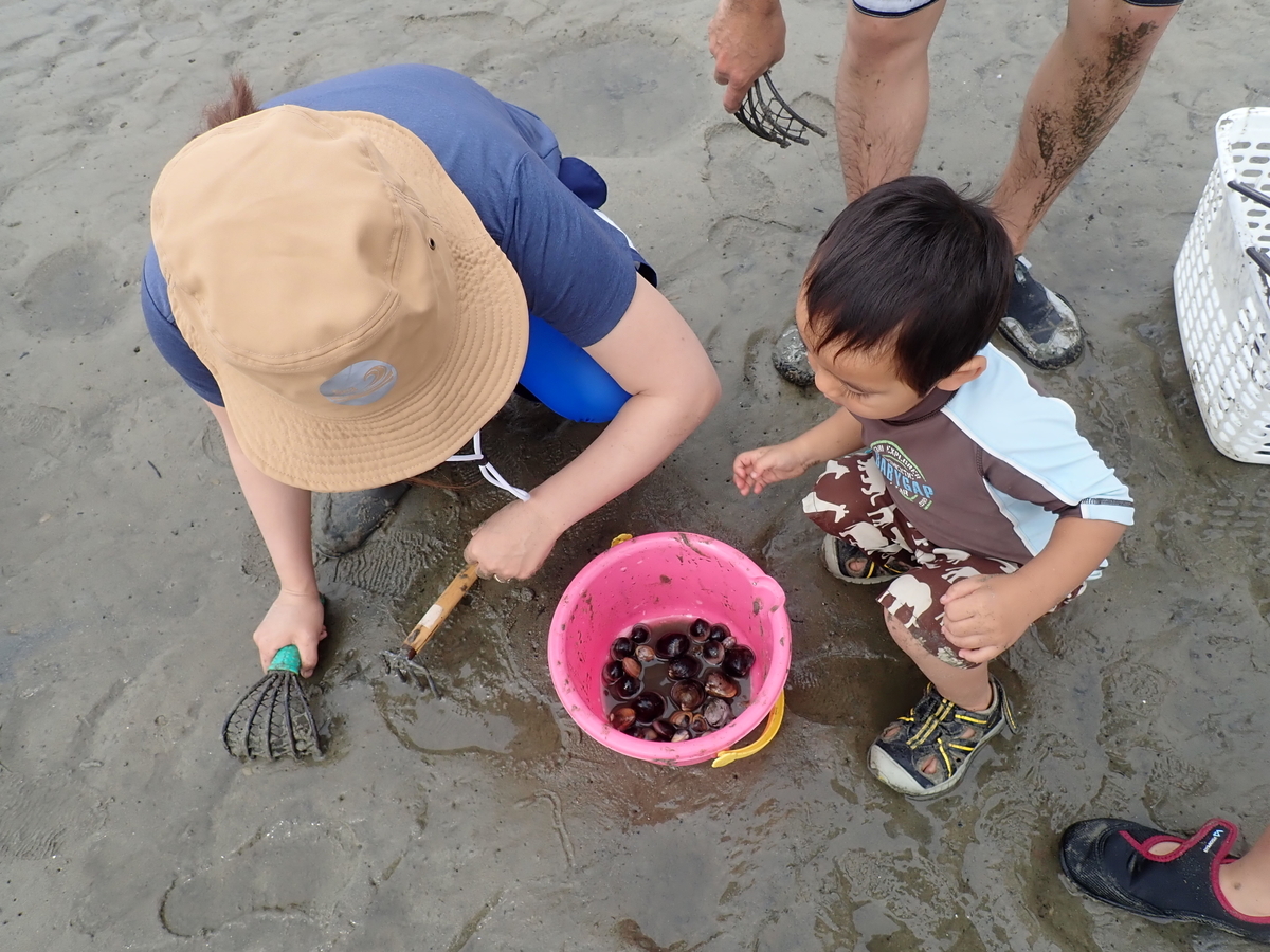 f:id:nagaraeco:20190602175127j:plain f:id:nagaraeco:20190602175127j:plain
