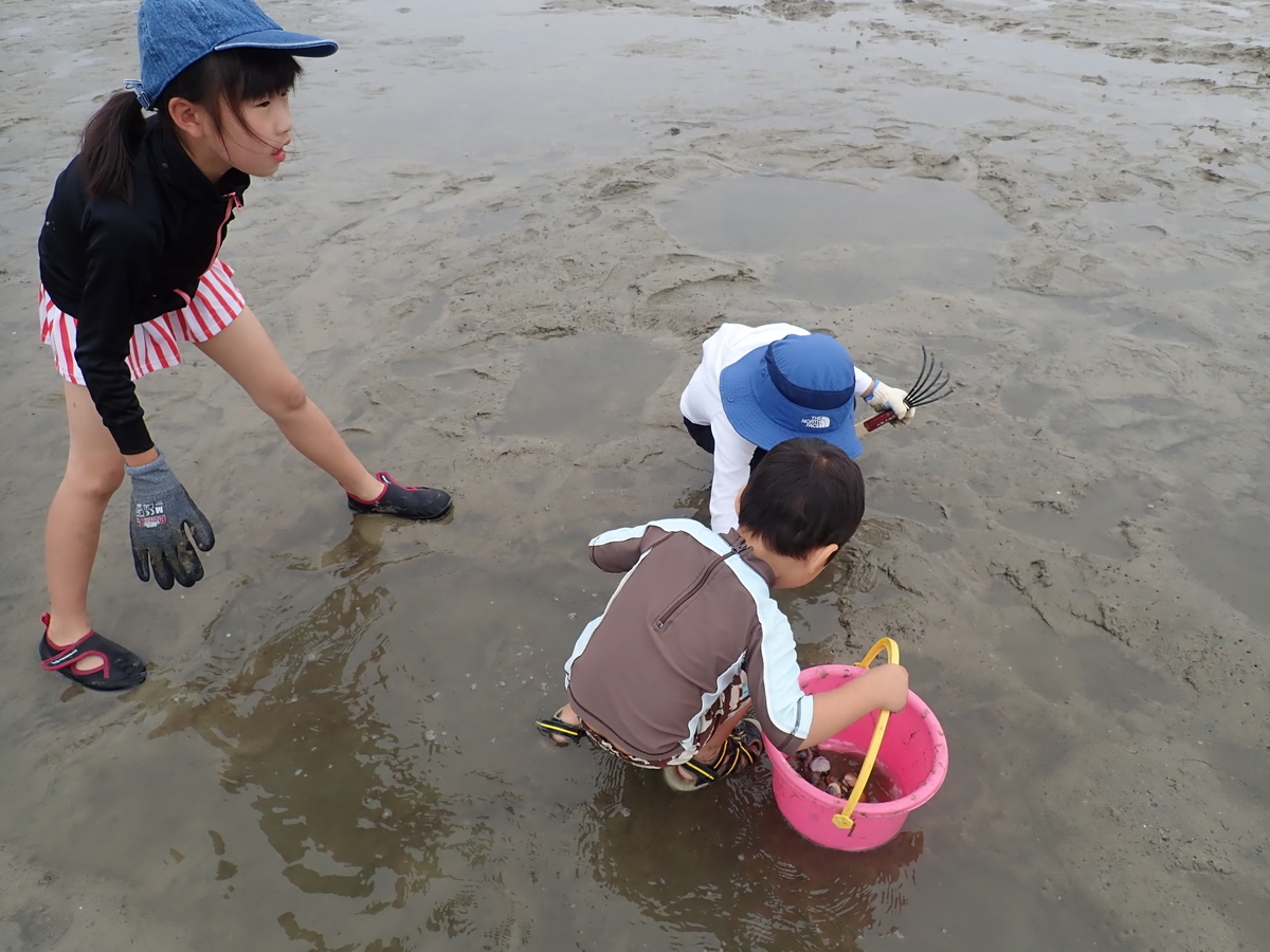 f:id:nagaraeco:20190602175441j:plain f:id:nagaraeco:20190602175441j:plain