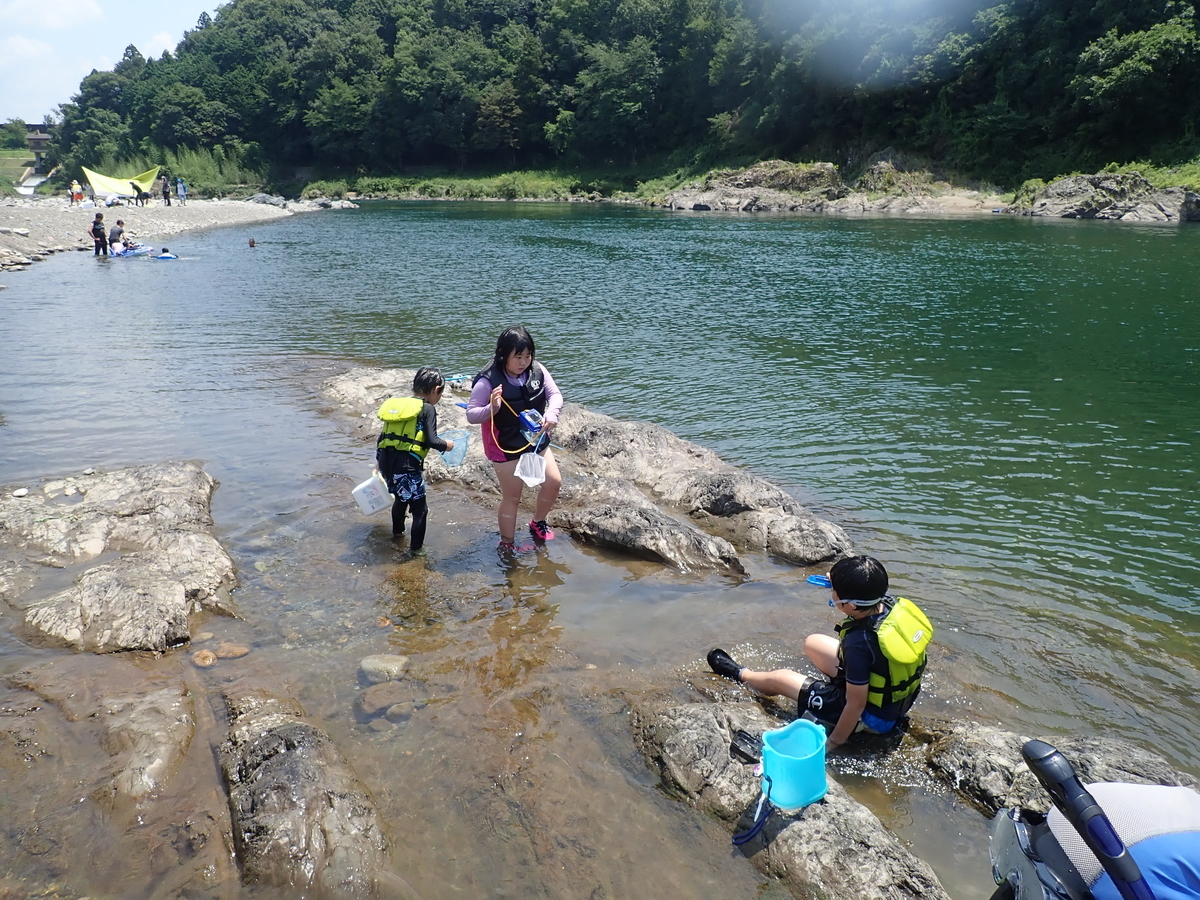f:id:nagaraeco:20210803205134j:plain
