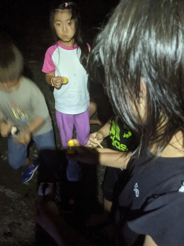 f:id:nagaraeco:20210805053556j:plain