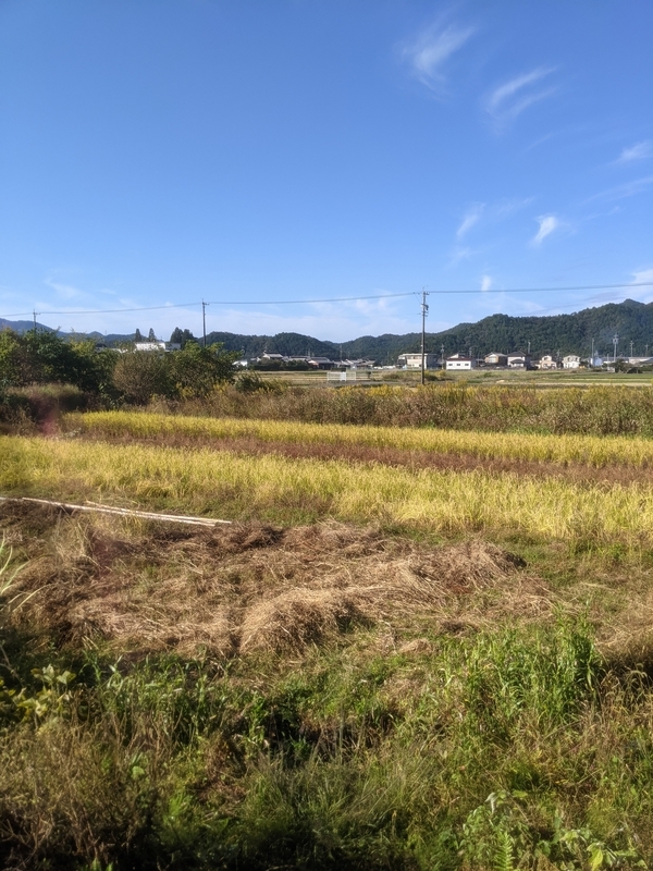 f:id:nagaraeco:20211024181712j:plain