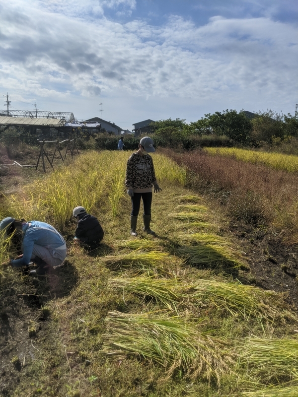 f:id:nagaraeco:20211024181937j:plain